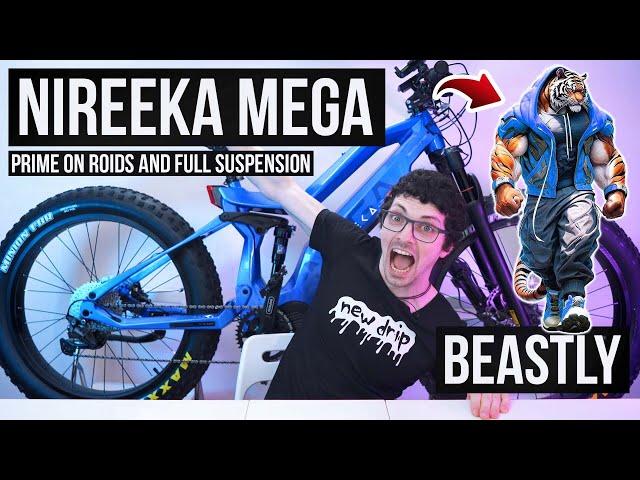 E-Bike BEAST - Nireeka Mega In-Depth Review & Test (Feat. Helinox)